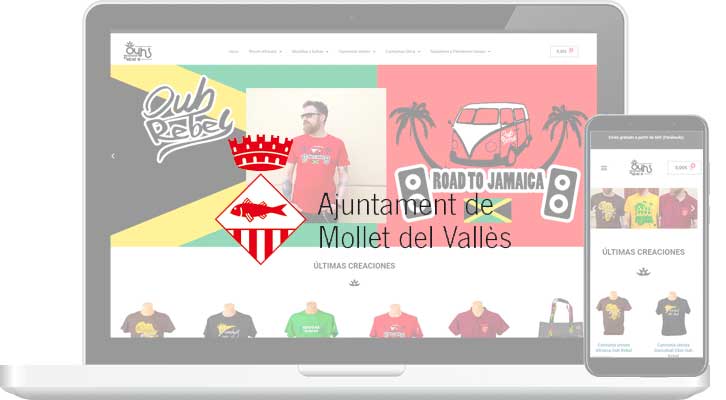 Diseño web en Mollet del Vallés